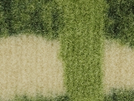 MACARON 瑰麗經典系列 滿鋪地毯 B3