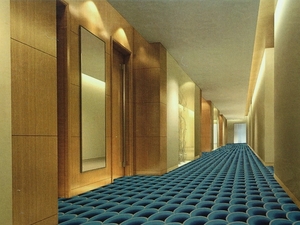MACARON 瑰麗經典系列 滿鋪地毯 E7