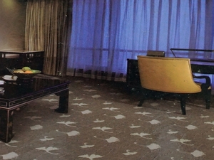 MACARON 德比系列 滿鋪地毯 X-03137