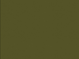 Leather Upholstery  Ö61 歐洲進口 皮革 沙發皮 Ö6104