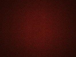 Leather Upholstery  涼感皮系列 皮革 沙發皮革 5212