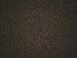 Leather Upholstery  涼感皮系列 皮革 沙發皮革 5213