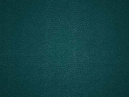 Leather Upholstery  涼感皮系列 皮革 沙發皮革 5216