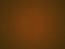 Leather Upholstery  涼感皮系列 皮革 沙發皮革 5218