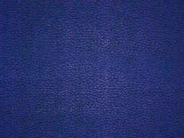 Leather Upholstery  涼感皮系列 皮革 沙發皮革 5219