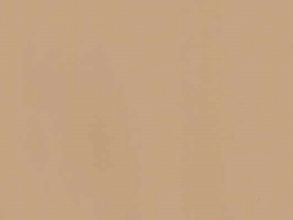 Leather Upholstery  超耐刮系列 皮革 沙發皮革 5103