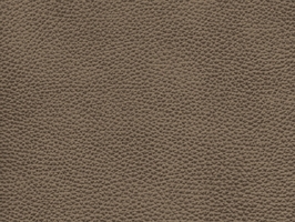 Leather Upholstery  羅馬厚彩皮系列 皮革 沙發皮革 T7766