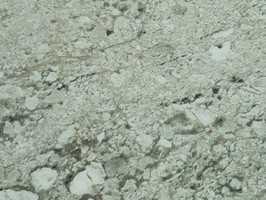 Winton 帝寶系列 VII 2.0 第七代 塑膠地板 塑膠地磚 2052
