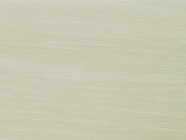 福美5.0系列 FSPC 塑膠地板 塑膠地磚 Y101