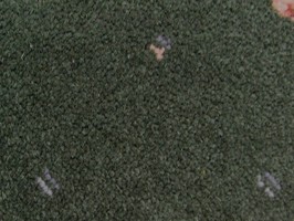 新波麗威靈頓系列 地毯 S 48