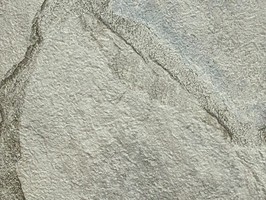 樂森活壁紙NATURE 壁紙 NA-08