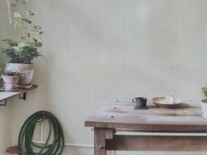 TOP1 壁紙WALLPAPER壁紙 101058