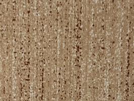 湘菀VI CURTAIN 窗簾布 窗簾  S3051-5~S5006-23 S3083-4
