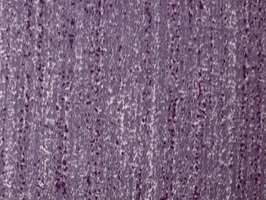 湘菀VI CURTAIN 窗簾布 窗簾  S3051-5~S5006-23 S3083-6