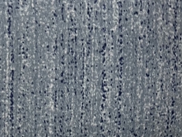 湘菀VI CURTAIN 窗簾布 窗簾  S3051-5~S5006-23 S3083-9