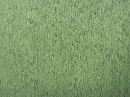 Champion Curtain 遮光系列 3C09-5H