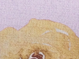 大都會家飾布 Dah duhuey Curtain 窗簾-百分百遮光系列 1440-1