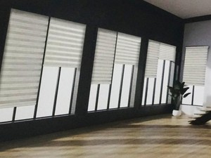 九龍窗飾 調光簾系列 DN672