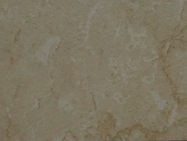 雷迪森PVC石塑地板 塑膠地磚 塑膠地板 C608