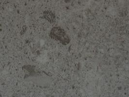 非凡3.0 超耐磨石塑地板 塑膠地磚 塑膠地板 A5605