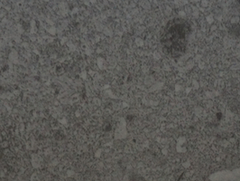 非凡3.0 超耐磨石塑地板 塑膠地磚 塑膠地板 A5606