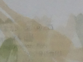 雅士多 邁阿密特區 家飾布 窗簾布 C55281
