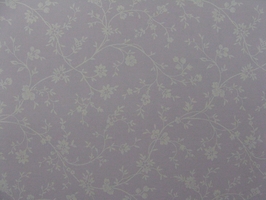 雨果詩篇 Chambray 壁紙  p040-FG60219