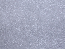 787素藝術漆壁紙Solid-color WALLPAPER 787-302