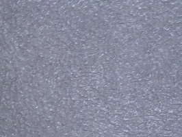 787素藝術漆壁紙Solid-color WALLPAPER 787-307