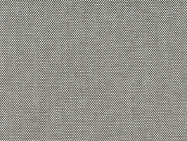 NICE 2026 VIC-06