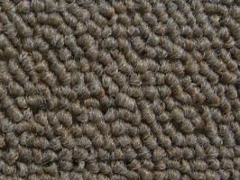 Carpet Roll FORMOSA 500晶晶 地毯 505