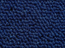 Carpet Roll FORMOSA 500晶晶 地毯 519