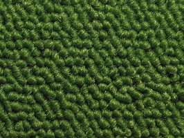 Carpet Roll FORMOSA 500晶晶 地毯 522