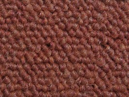 Carpet Roll FORMOSA 500晶晶 地毯 535