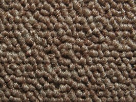 Carpet Roll FORMOSA 500晶晶 地毯 536
