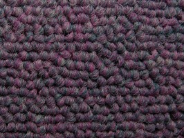 Carpet Roll FORMOSA 500晶晶 地毯 537