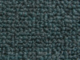 Carpet Roll FORMOSA 500晶晶 地毯 583