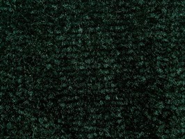 Carpet Roll FORMOSA 8300 晶雅 地毯 8308