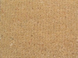 Carpet Roll FORMOSA 8300 晶雅 地毯 8321