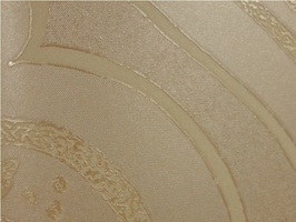 Brasca 布萊司 壁紙  39073