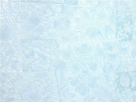 Brasca 布萊司 壁紙  39088