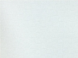 Brasca 布萊司 壁紙  39222