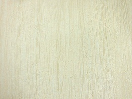 EROS 壁紙  48-511501