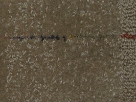 喜來登系列 地毯 Y803