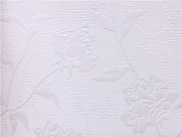 Blue Ray 藍光 壁紙 AD4934