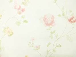 Blue Ray 藍光 壁紙  BRE1080