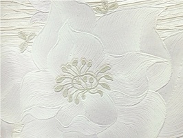 Blue Ray 藍光 壁紙  BRE1112