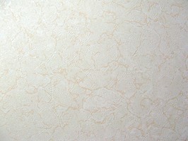 BESTOP 壁紙 22103-26