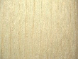 BESTOP  94005-49