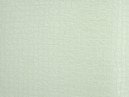 NEW STYLE 新潮流 壁紙  69-21111